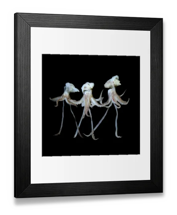 Framed Print : LETs PARTY