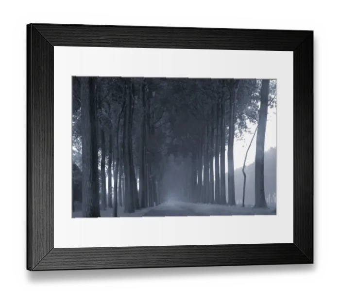 Framed Print : Flanders in the rain Framed Print : Flanders in the rain