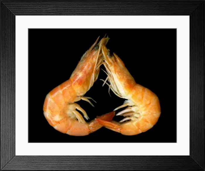 Framed Print : Love me Tender Framed Print : Love me Tender