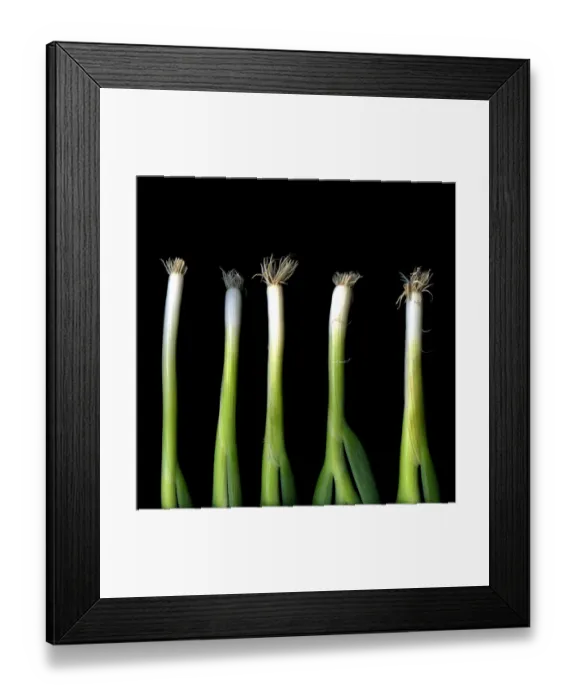 Framed Print : Punk Spring Onions Framed Print : Punk Spring Onions