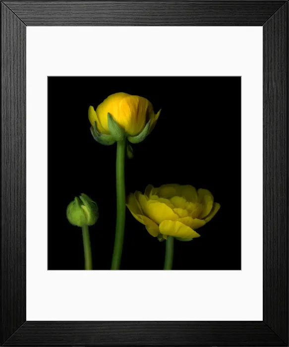 Framed Print : Three Stages Framed Print : Three Stages