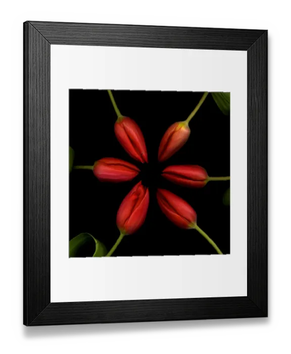 Framed Print : Red Rondo. Red flowers made by flowers Framed Print : Red Rondo. Red flowers made by flowers