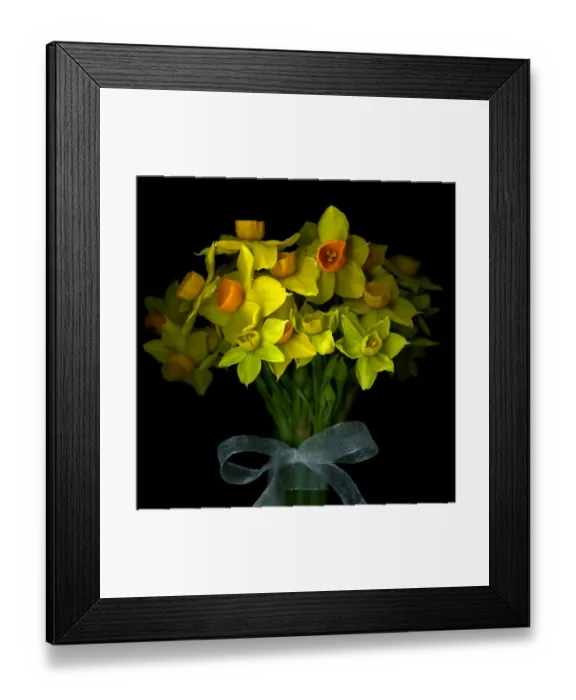 Framed Print : Gift of beauty Framed Print : Gift of beauty