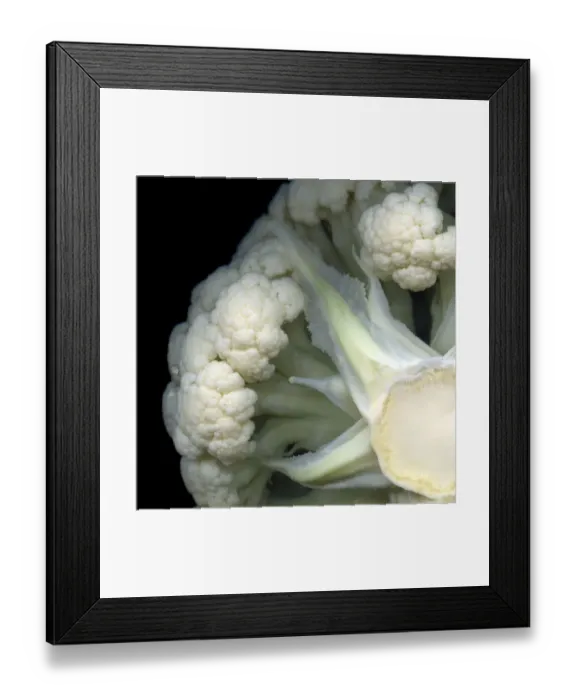Framed Print : The Secret World of the Cauliflower! Still for Oct Framed Print : The Secret World of the Cauliflower! Still for Oct