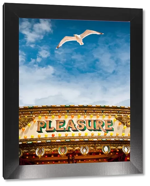 Pleasure. Seagull flying in patch of blue sky above carousel with word