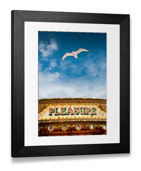 Framed Print : Pleasure. Seagull flying in patch of blue sky above carousel with word Framed Print : Pleasure. Seagull flying in patch of blue sky above carousel with word