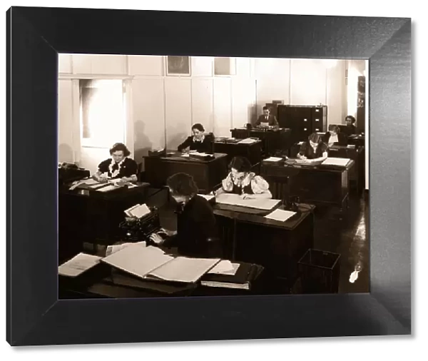 Archive Shot  /  Group of Office Workers Sitting at their Desks