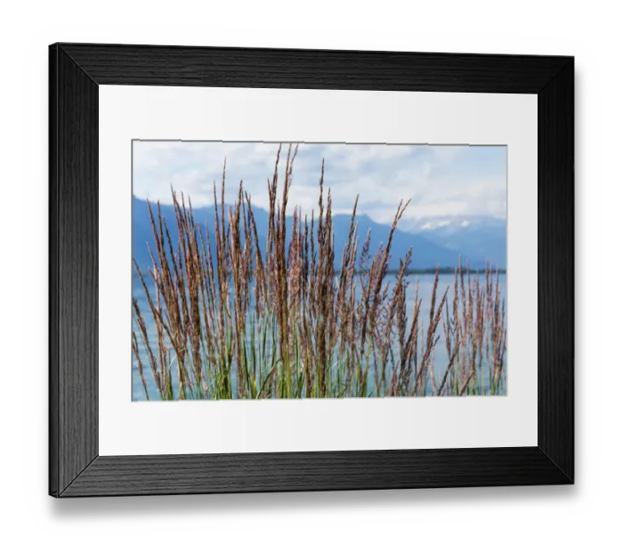 Framed Print : Grass against mountains and lake Geneva from the Embankment in Montreux. Switzerland Framed Print : Grass against mountains and lake Geneva from the Embankment in Montreux. Switzerland