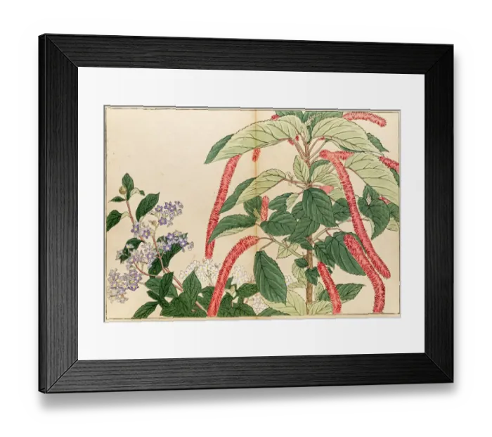 Framed Print : Roses japanese woodblock print Framed Print : Roses japanese woodblock print