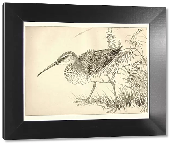Japanese art, Study of a Wading bird, 19th Century