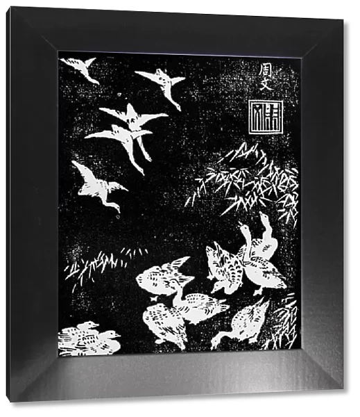 Antique Japanese Illustration: Geese by Ichi-O Shumboku