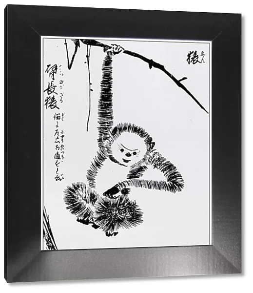 Antique Japanese Illustration: Monkey by Tachibana Morikuni