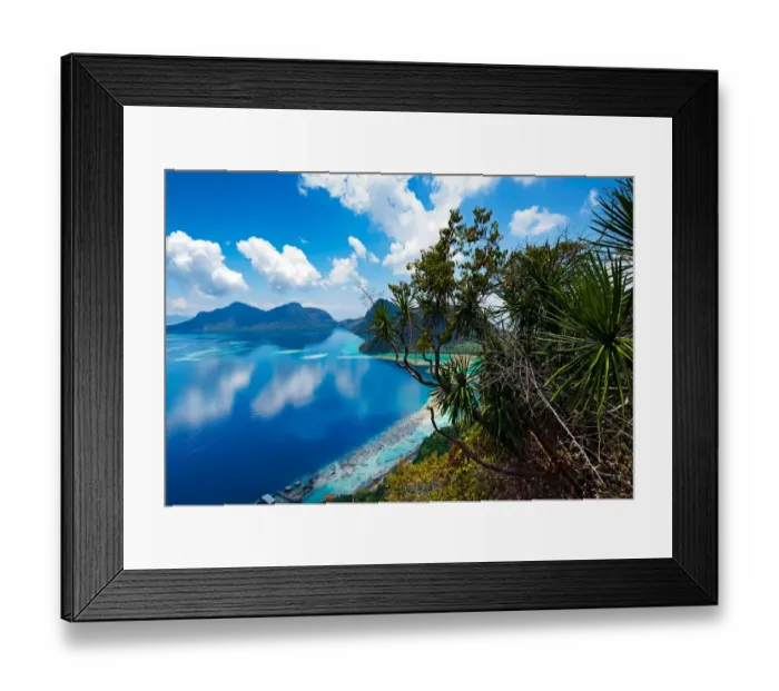Framed Print : Dracaena Multiflora Plant on Top of Bohey Dulang Island Framed Print : Dracaena Multiflora Plant on Top of Bohey Dulang Island