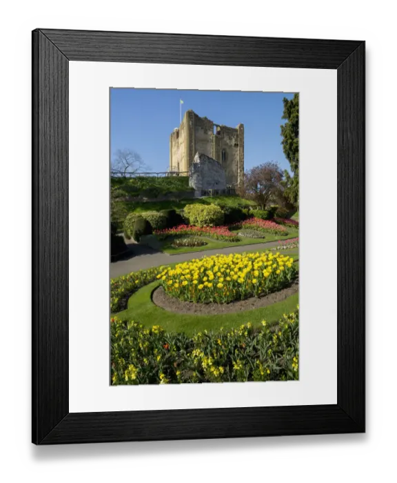 Framed Print : English: CB2, ruins: CB2, clear sky: CB2, travel: CB2, castle: CB2, yellow: CB2, ancient: CB2 Framed Print : English: CB2, ruins: CB2, clear sky: CB2, travel: CB2, castle: CB2, yellow: CB2, ancient: CB2