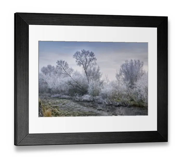Framed Print : tree: CB2, overcast sky: CB2, landscape: CB2, idyllic: CB2, winter: CB2, riverbank: CB2 Framed Print : tree: CB2, overcast sky: CB2, landscape: CB2, idyllic: CB2, winter: CB2, riverbank: CB2