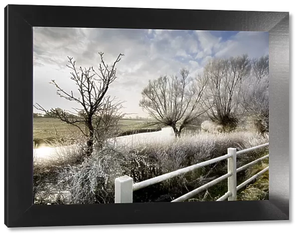 Winter scene at headwaters of River Thames