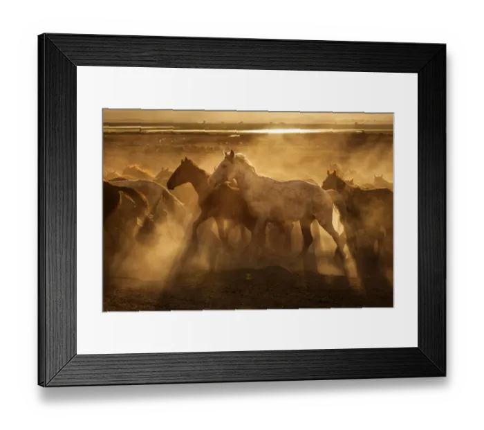 Framed Print : Wild horses of Cappadocia at sunset with beautiful sands, running and guided by a cawboy