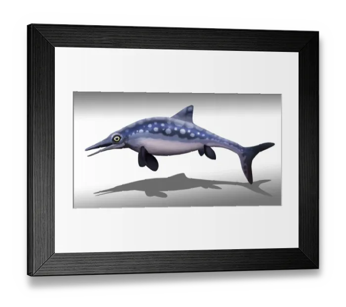 Framed Print : Ophthalmosaurus marine reptile, illustration Framed Print : Ophthalmosaurus marine reptile, illustration