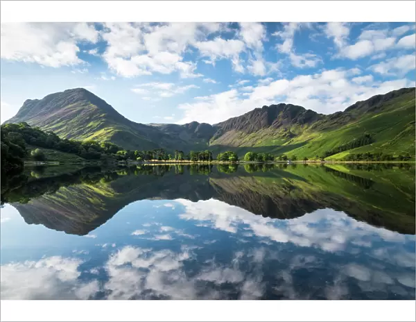 Buttermere lake early morning reflections. A beautiful summer morning with Fleetwith Pike and Haystacks mountains covered in purple heather. Lake District National park. UK. Europe