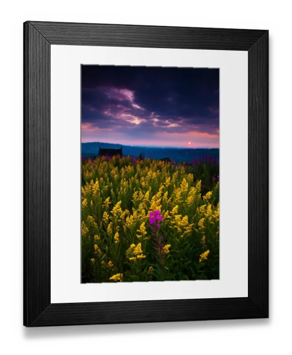 Framed Print : Moody sunset with flowers, English Peak District Framed Print : Moody sunset with flowers, English Peak District
