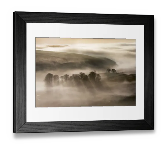 Framed Print : Trees in the mist, peak district landscape Framed Print : Trees in the mist, peak district landscape