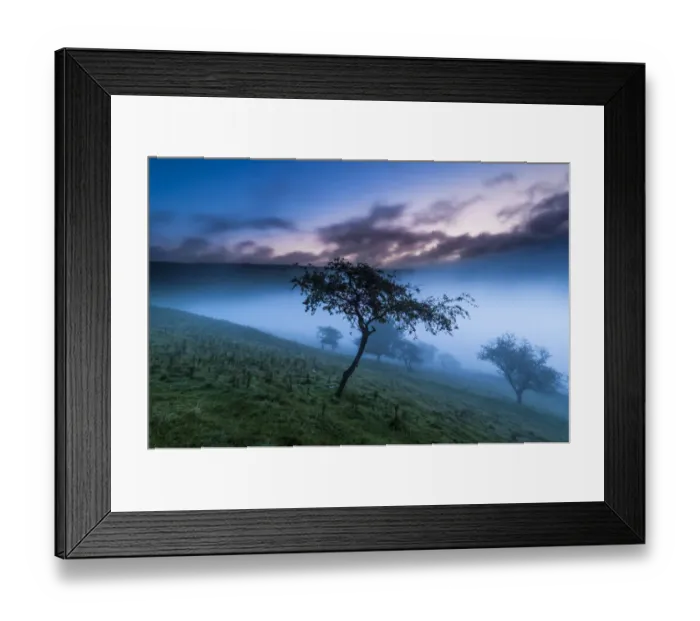 Framed Print : Malham Tree, Yorkshire Dales Framed Print : Malham Tree, Yorkshire Dales