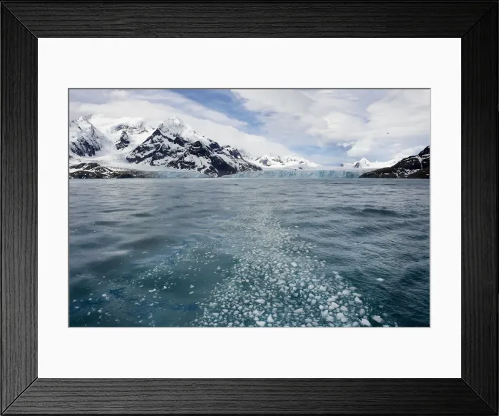 Framed Print : South Georgia glacier Framed Print : South Georgia glacier