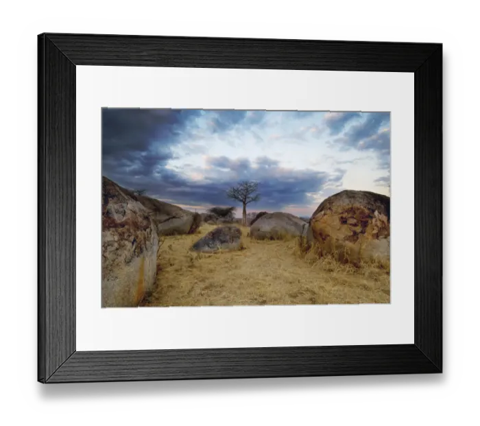 Framed Print : Baobab, Ruaha National Park, Tanzania Framed Print : Baobab, Ruaha National Park, Tanzania