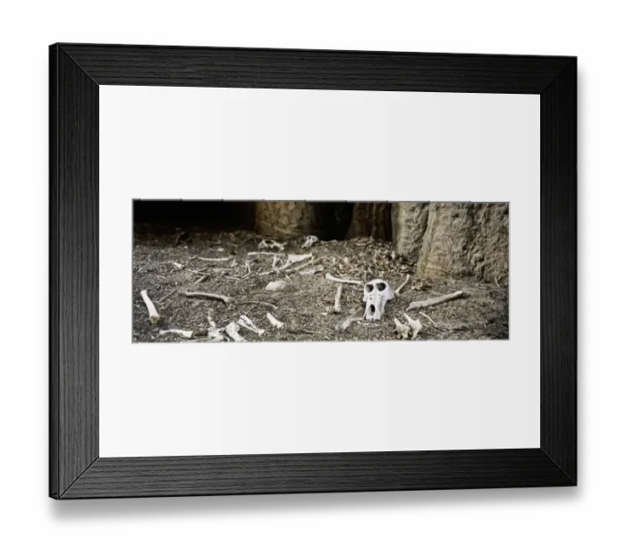 Framed Print : Leopards lair, Chitake, Zimbabwe Framed Print : Leopards lair, Chitake, Zimbabwe