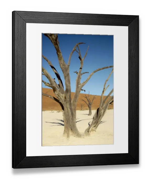 Framed Print : Dead Vlei, Sossusvlei, Namibia Framed Print : Dead Vlei, Sossusvlei, Namibia