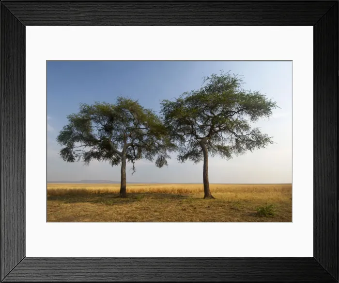 Framed Print : partner, togetherness, united Framed Print : partner, togetherness, united