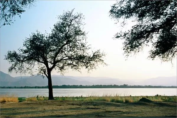 Zambezi River, Mana Pools NP, Zimbabwe