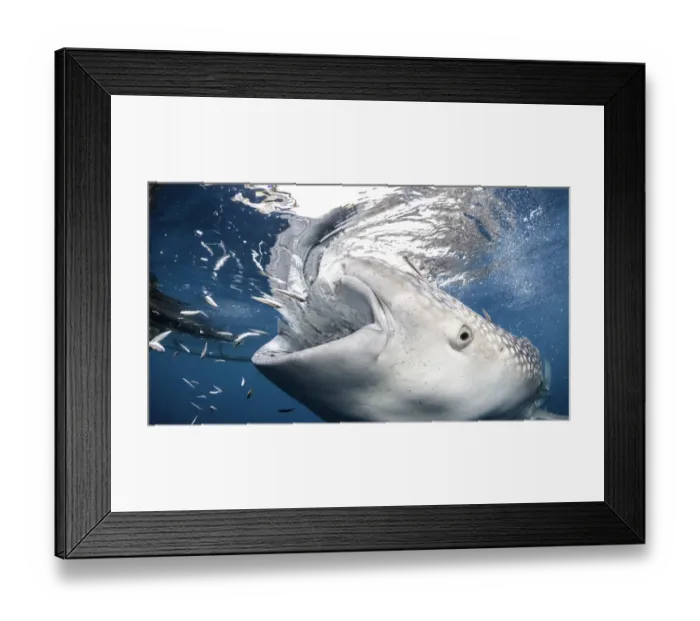 Framed Print : Getting close Framed Print : Getting close