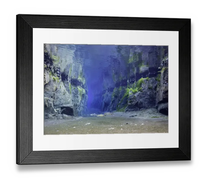 Framed Print : Arctic Charr In The Fissure Framed Print : Arctic Charr In The Fissure