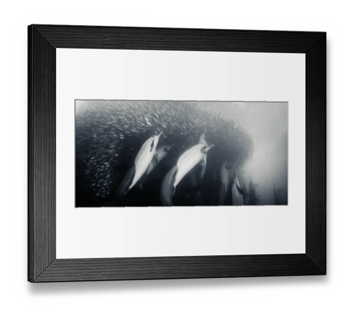 Framed Print : Coming Up From Below Framed Print : Coming Up From Below