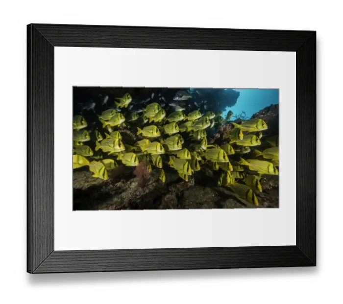 Framed Print : All The One Way Framed Print : All The One Way