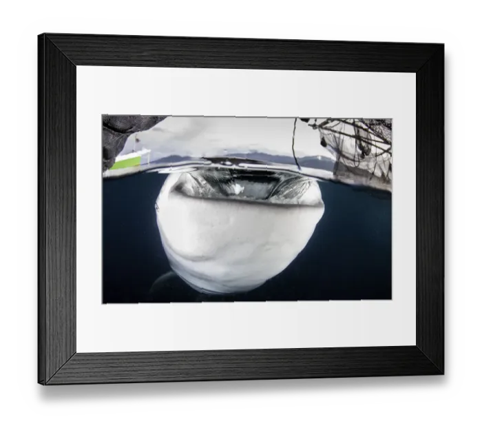 Framed Print : Water column Framed Print : Water column