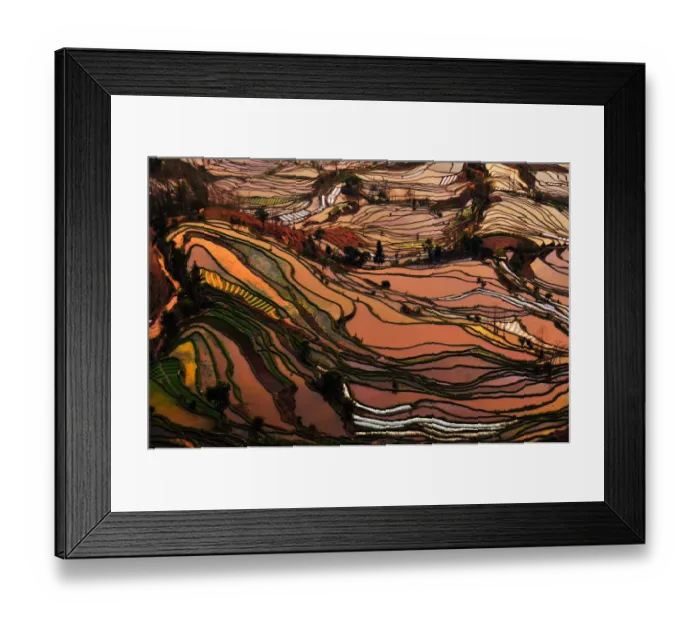 Framed Print : Terrace field Framed Print : Terrace field