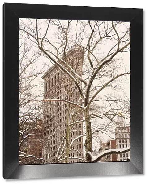 winter, architecture, monument, tree, urban scene, building exterior, new york city