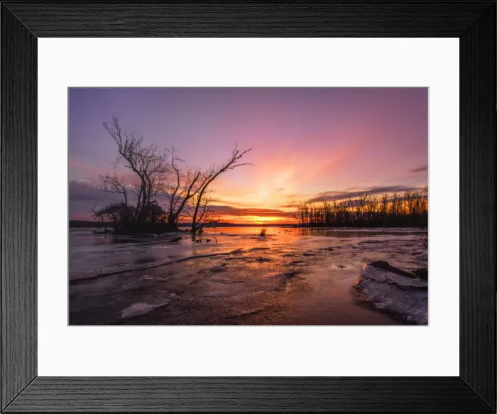 Framed Print : Cruel Beautiful Winter Framed Print : Cruel Beautiful Winter