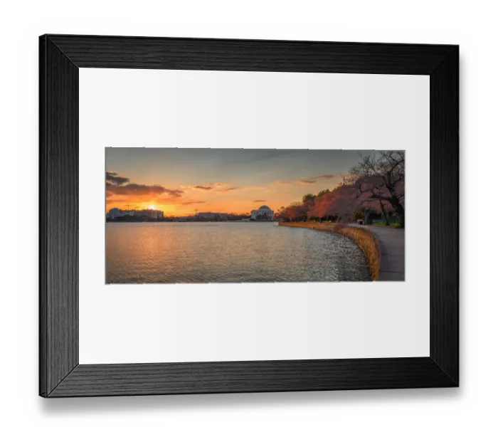 Framed Print : Cherry Blossom Sunrise Framed Print : Cherry Blossom Sunrise