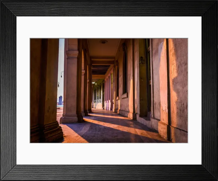 Framed Print : Shade and Gold Framed Print : Shade and Gold