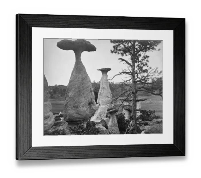 Framed Print : Monument Park Framed Print : Monument Park