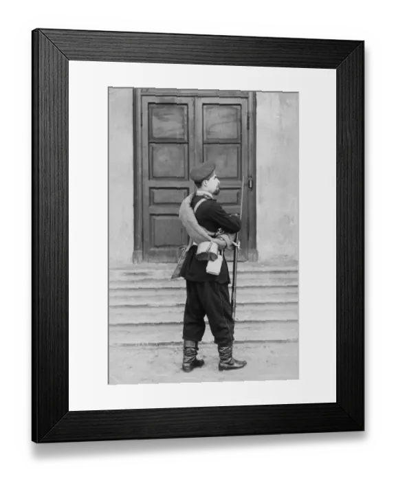 Framed Print : Russian Guard Framed Print : Russian Guard