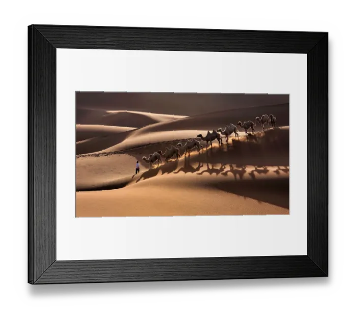 Framed Print : A Morning Walk Framed Print : A Morning Walk
