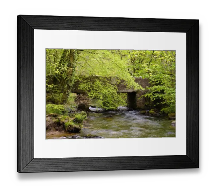 Framed Print : bridge, british, cornwall, creek, deciduous forest, english, forest brook, out, spring Framed Print : bridge, british, cornwall, creek, deciduous forest, english, forest brook, out, spring