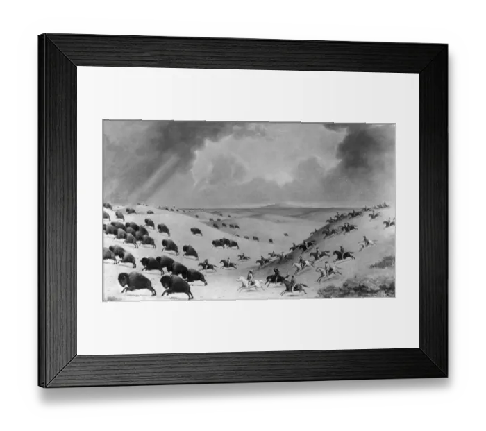 Framed Print : Buffalo Hunt Framed Print : Buffalo Hunt