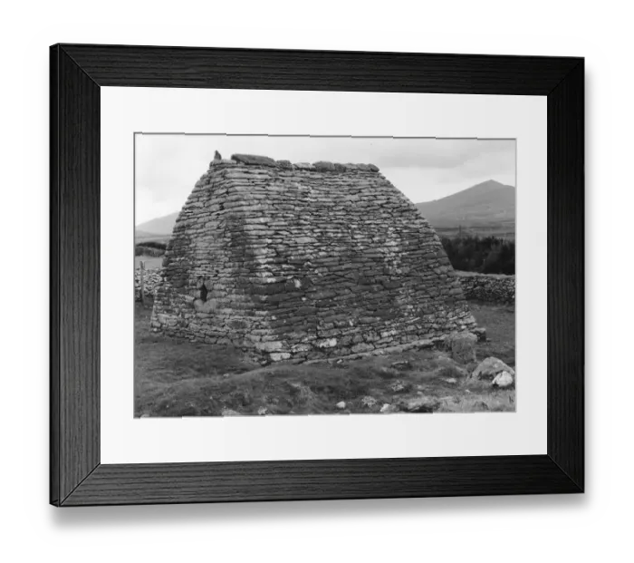 Framed Print : Three Lions Collection Framed Print : Three Lions Collection
