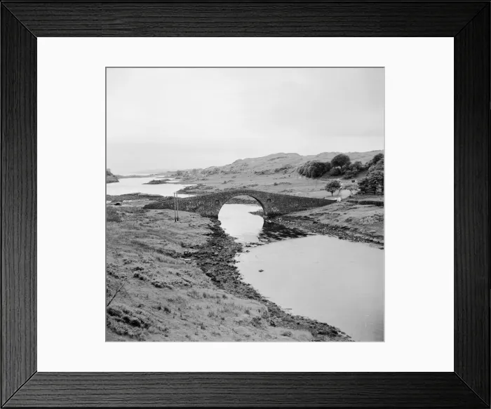 Framed Print : Three Lions Collection Framed Print : Three Lions Collection