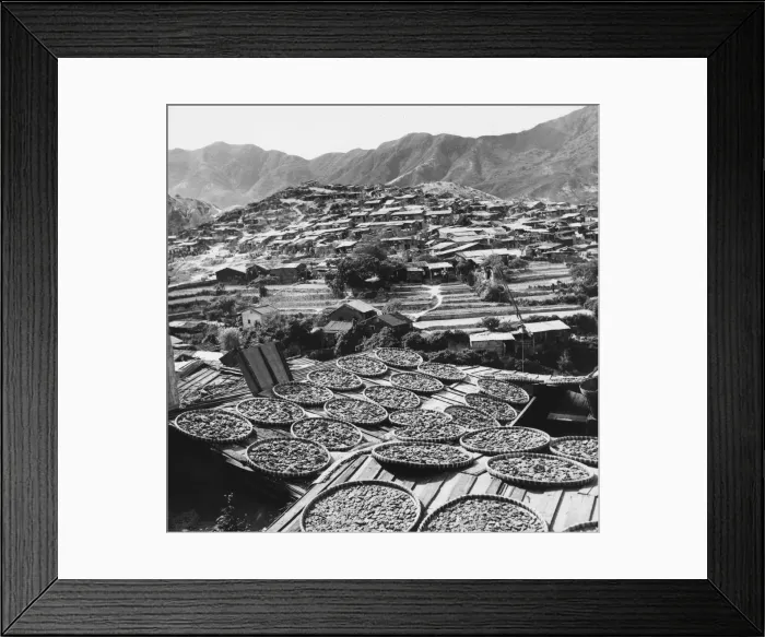 Framed Print : Drying Fruit Framed Print : Drying Fruit